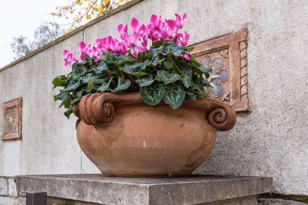 Bright Perugia Apartment Bagian luar foto